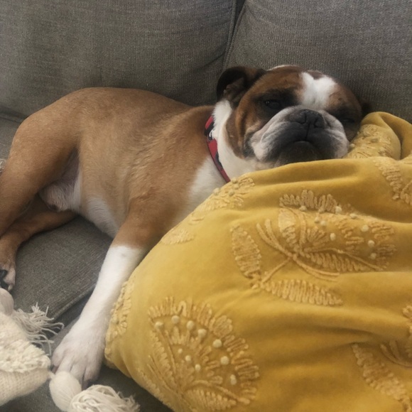 Meet your Posher, Julie - Picture 2 of 2